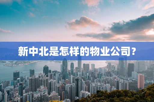 新中北是怎样的物业公司？