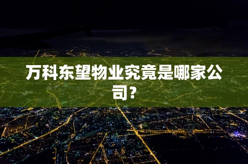 万科东望物业究竟是哪家公司？