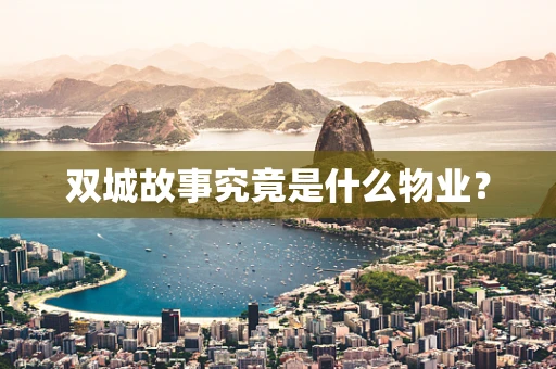 双城故事究竟是什么物业？