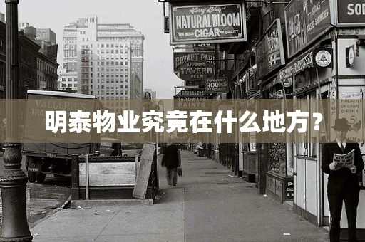 明泰物业究竟在什么地方？