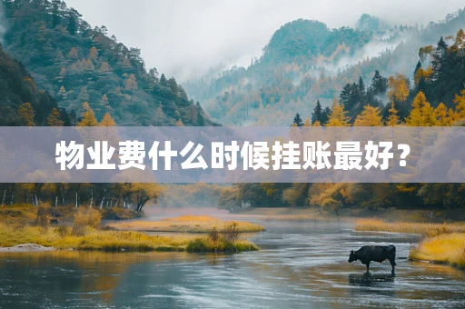 物业费什么时候挂账最好？