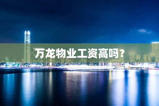 万龙物业工资高吗？