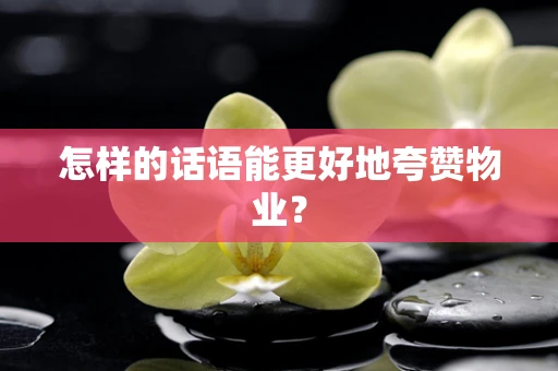 怎样的话语能更好地夸赞物业？