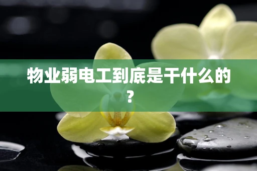 物业弱电工到底是干什么的？