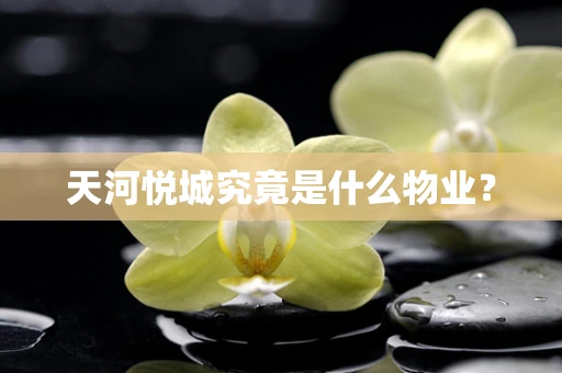 天河悦城究竟是什么物业？
