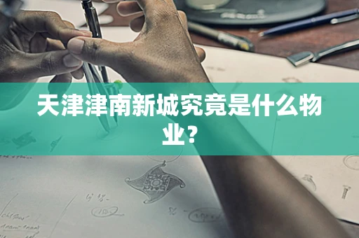天津津南新城究竟是什么物业？