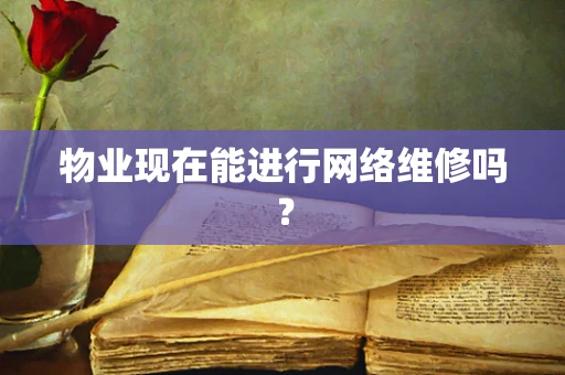 物业现在能进行网络维修吗？