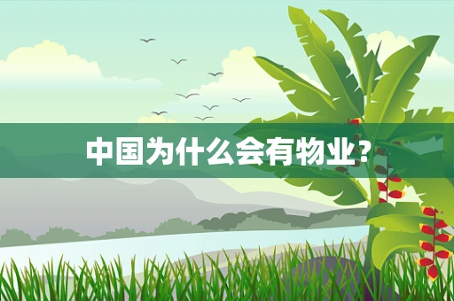 中国为什么会有物业？