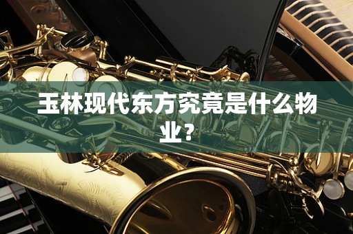 玉林现代东方究竟是什么物业？