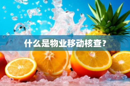 什么是物业移动核查？