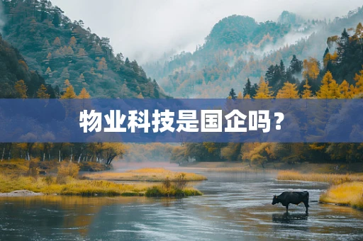 物业科技是国企吗？