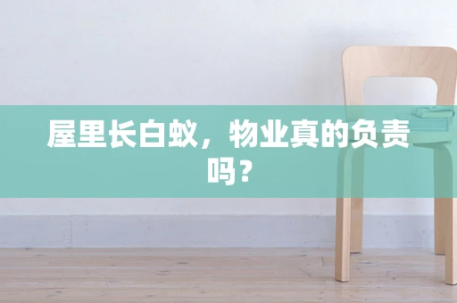 屋里长白蚁，物业真的负责吗？