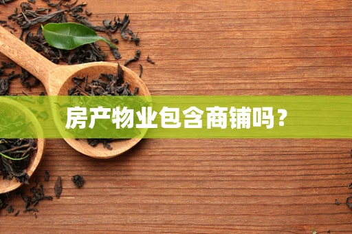 房产物业包含商铺吗？