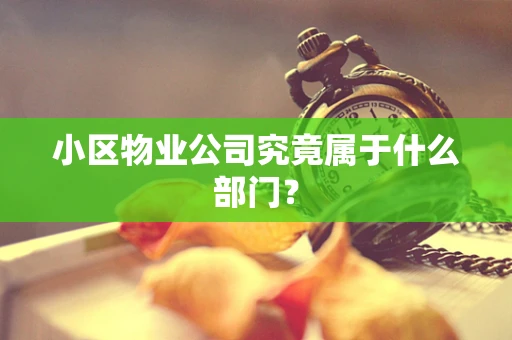 小区物业公司究竟属于什么部门？