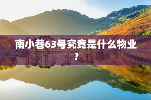 南小巷63号究竟是什么物业？