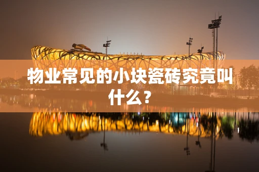 物业常见的小块瓷砖究竟叫什么？