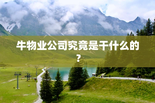 牛物业公司究竟是干什么的？