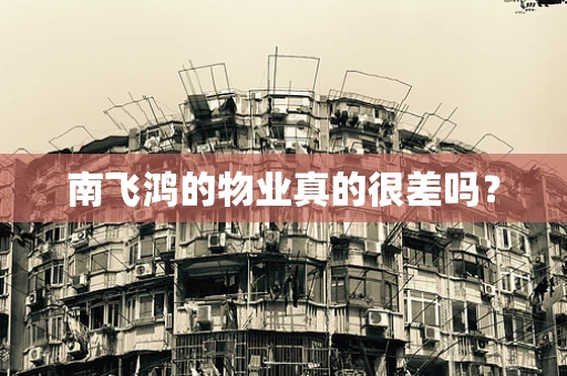 南飞鸿的物业真的很差吗？