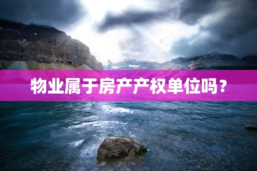 物业属于房产产权单位吗？
