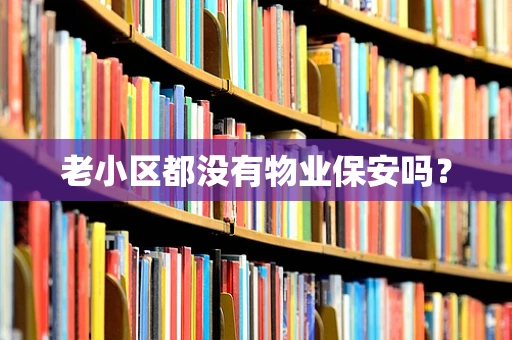 老小区都没有物业保安吗？