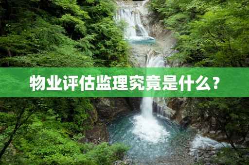 物业评估监理究竟是什么？
