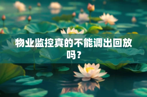 物业监控真的不能调出回放吗？