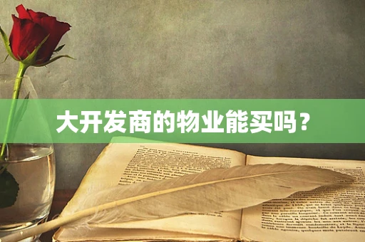 大开发商的物业能买吗？