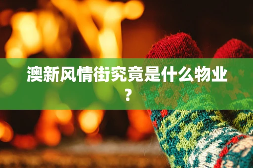 澳新风情街究竟是什么物业？