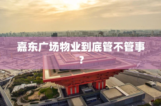嘉东广场物业到底管不管事？