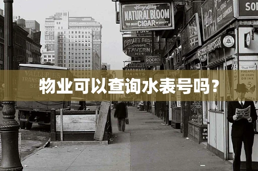 物业可以查询水表号吗？