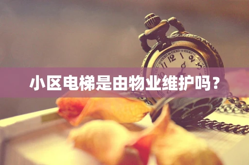 小区电梯是由物业维护吗？