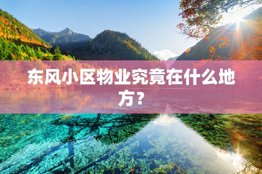 东风小区物业究竟在什么地方？
