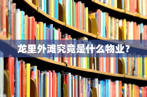 龙里外滩究竟是什么物业？