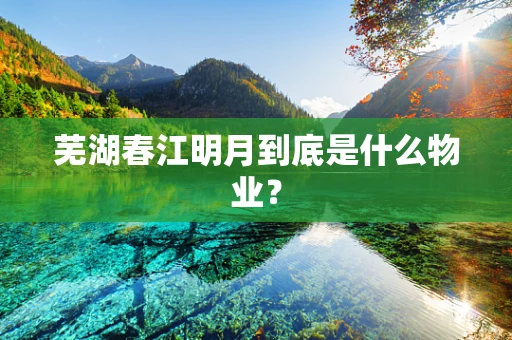 芜湖春江明月到底是什么物业？
