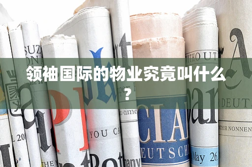 领袖国际的物业究竟叫什么？