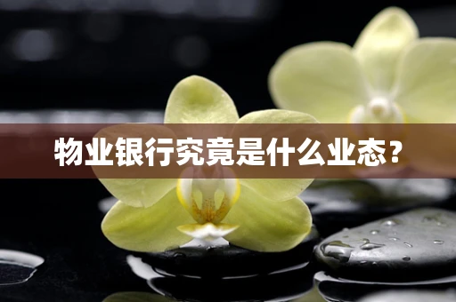 物业银行究竟是什么业态？