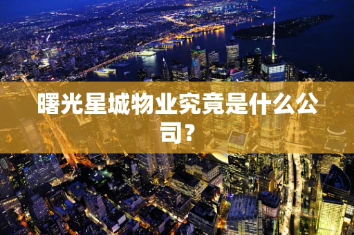 曙光星城物业究竟是什么公司？