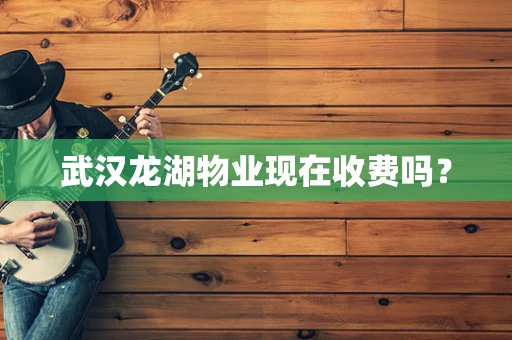 武汉龙湖物业现在收费吗？