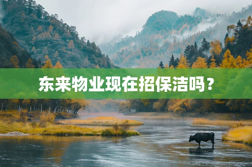 东来物业现在招保洁吗？