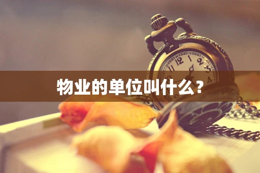 物业的单位叫什么？