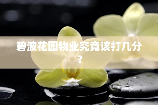 碧波花园物业究竟该打几分？