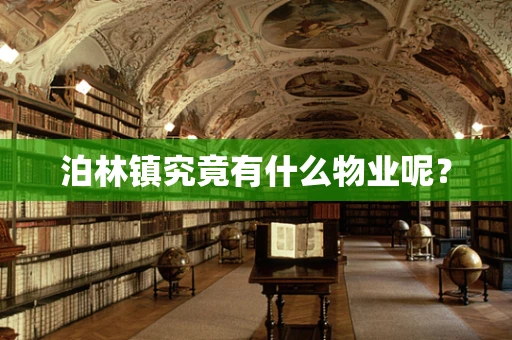 泊林镇究竟有什么物业呢？