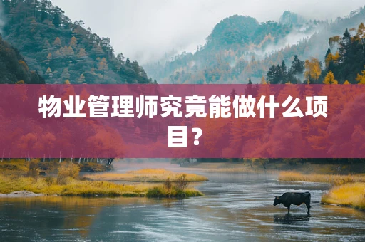 物业管理师究竟能做什么项目？