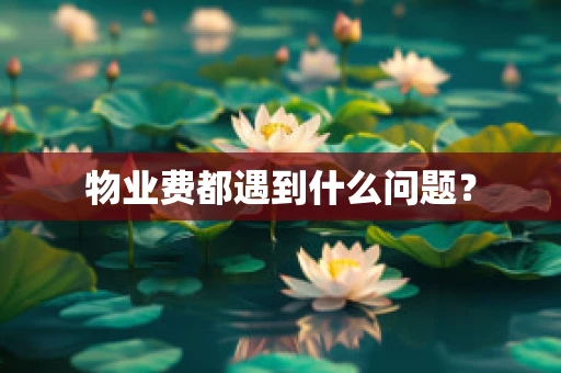 物业费都遇到什么问题？
