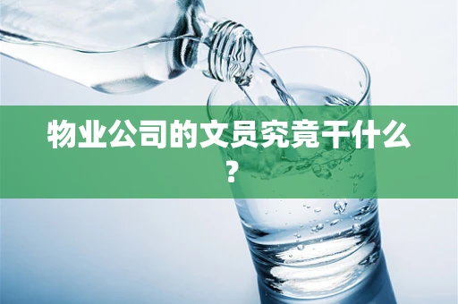 物业公司的文员究竟干什么？
