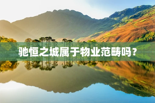 驰恒之城属于物业范畴吗？