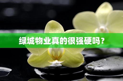 绿城物业真的很强硬吗？