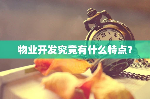 物业开发究竟有什么特点？