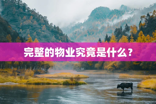完整的物业究竟是什么？