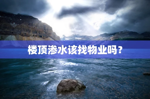 楼顶渗水该找物业吗？